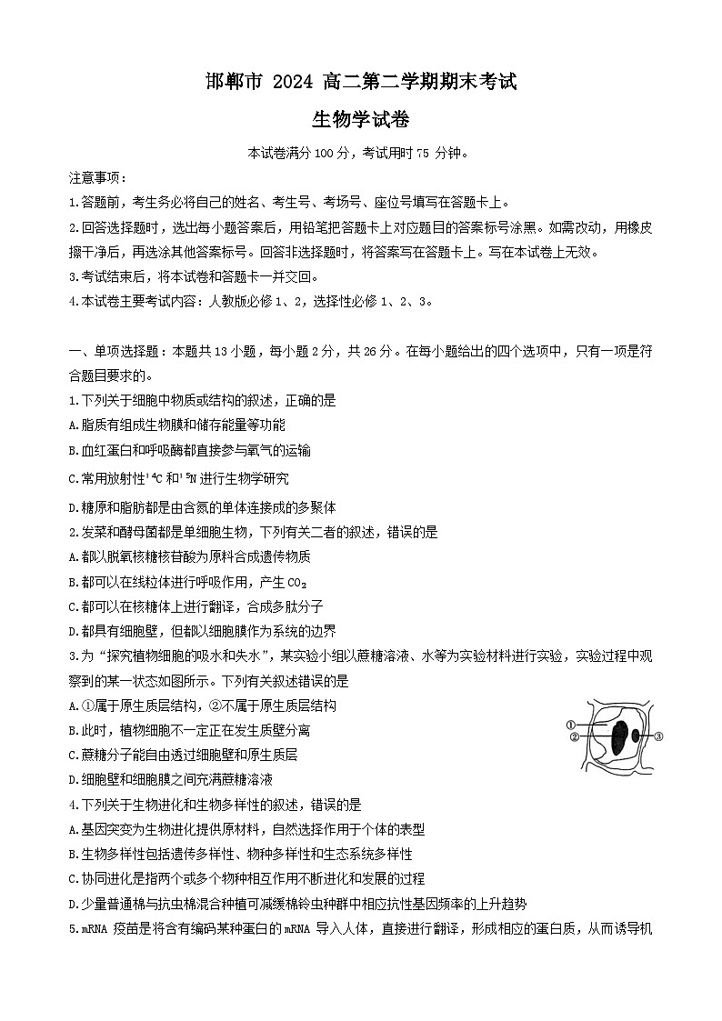 河北省邯郸市2023-2024学年高二第二(下)学期期末考试+生物第1页
