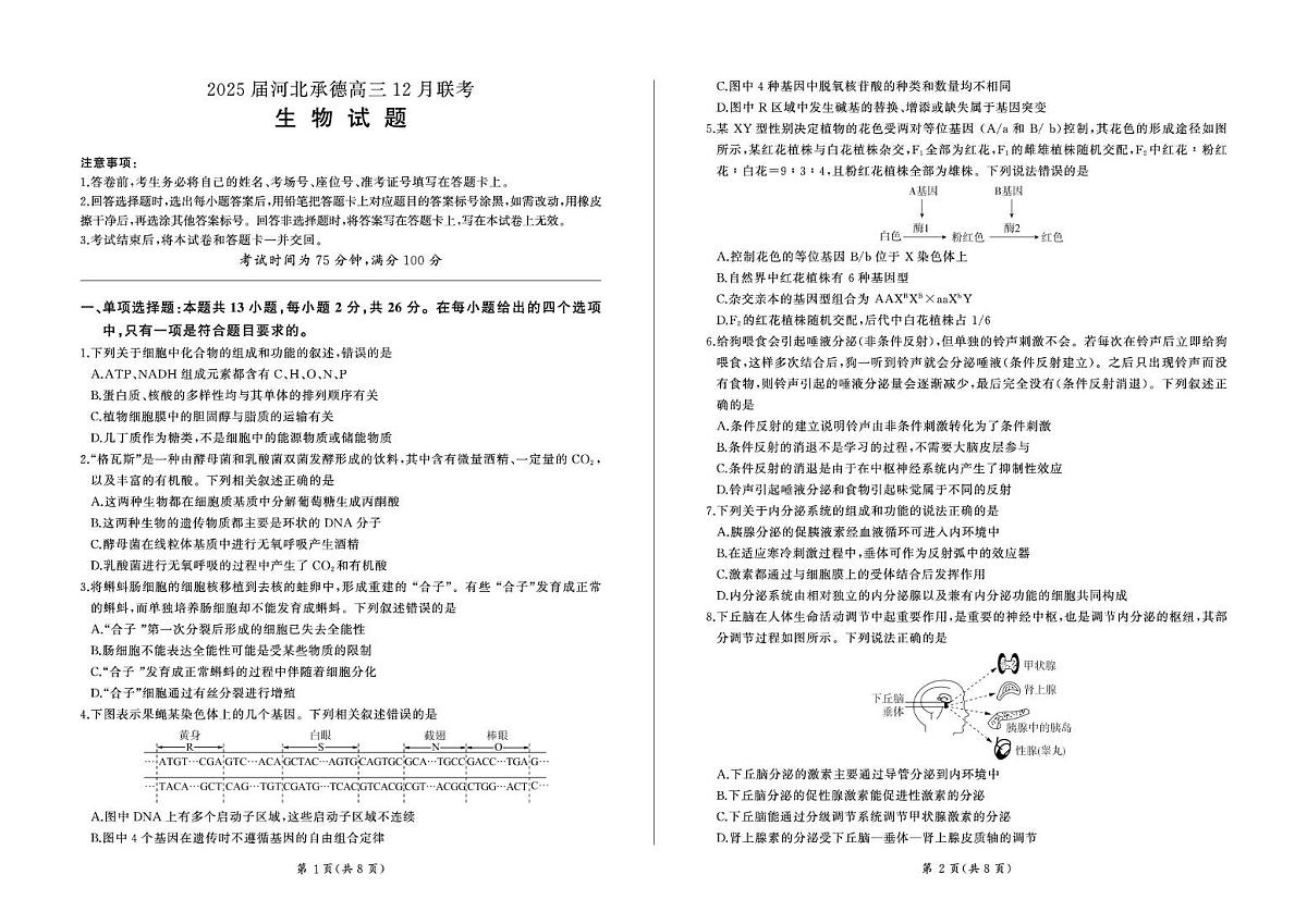 河北省承德市2024-2025学年高三上学期12月联考生物试卷+答案第1页
