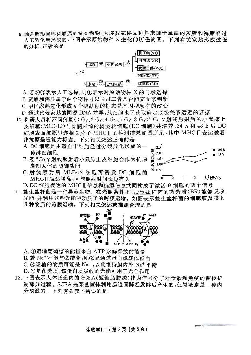 河北省衡水金卷先享题2025届高三一轮复习夯基卷（二）生物试卷+答案第3页