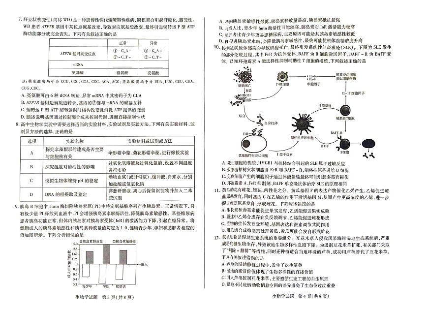 河南天一大联考2024-2025学年高三下学期阶段性测试（五）生物试卷+答案(1)第2页