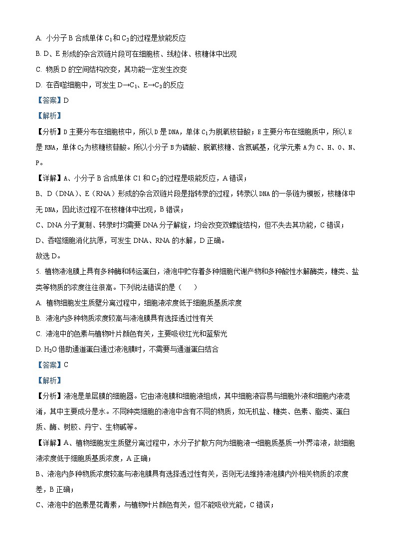 河北省衡水市安平中学2024-2025学年高二下学期开学考试生物试卷（解析版）第3页
