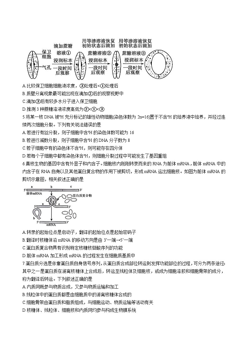 河北省十校联考2026届高三上学期开学摸底大联考生物试题（Word版附答案）第2页