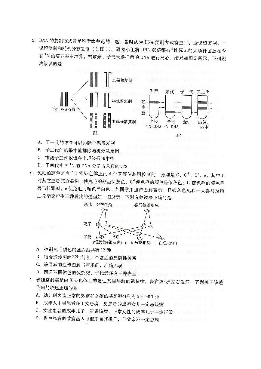 河北省邢台市名校2025-2026学年高二上学期开学联考生物试题（PDF版附解析）第2页