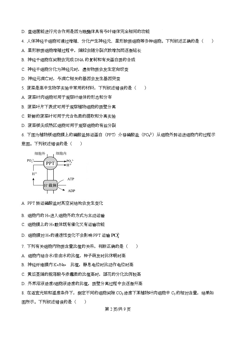 湖北省楚天协作体2026届高三上学期开学生物试题（原卷版）第2页