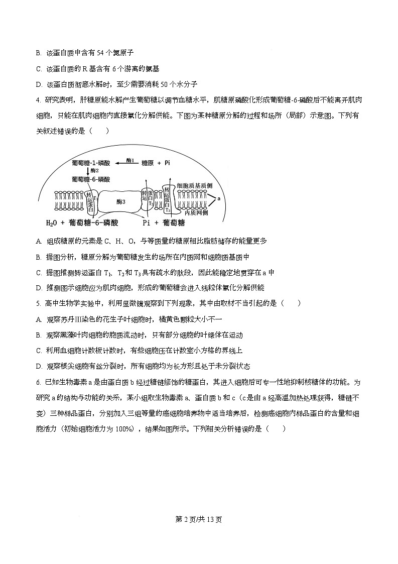 湖北省黄冈中学2026届高三上学期第一次月考生物试题（原卷版）第2页