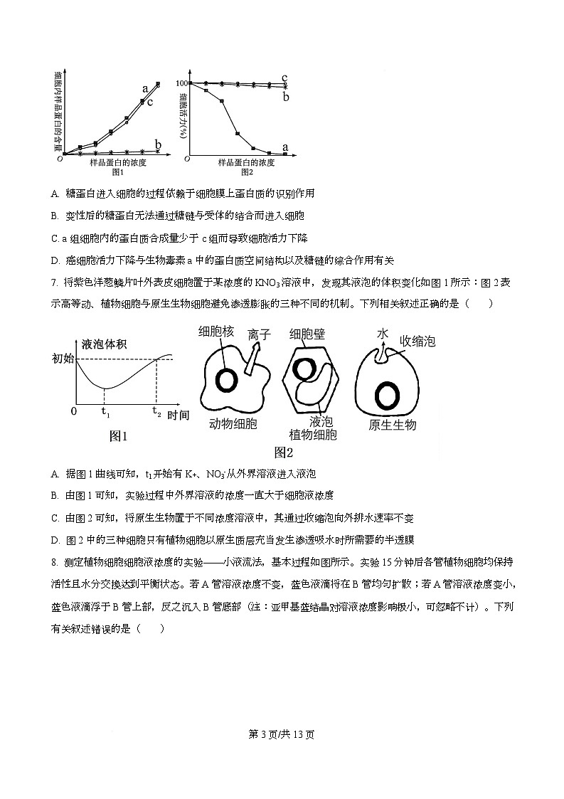 湖北省黄冈中学2026届高三上学期第一次月考生物试题（原卷版）第3页