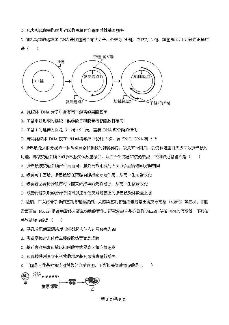 湖南省益阳市2026届高三上学期9月教学质量监测生物试题（原卷版）第3页