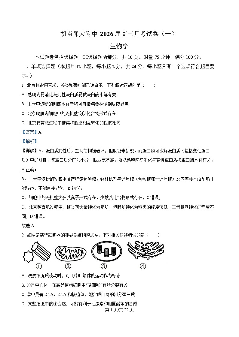 湖南省长沙市师大附中2026届高三上学期8月月考生物试题 Word版含解析第1页