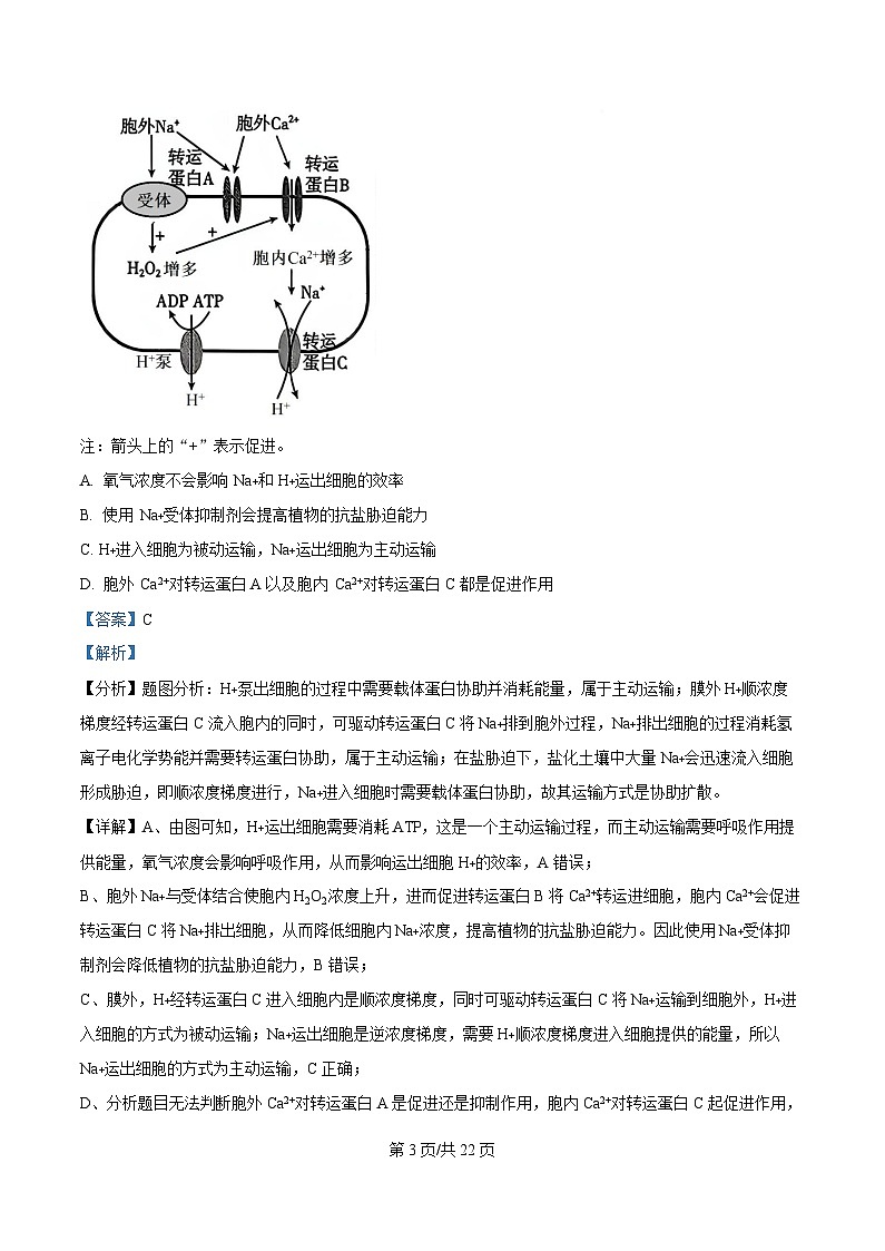 湖南省长沙市师大附中2026届高三上学期8月月考生物试题 Word版含解析第3页