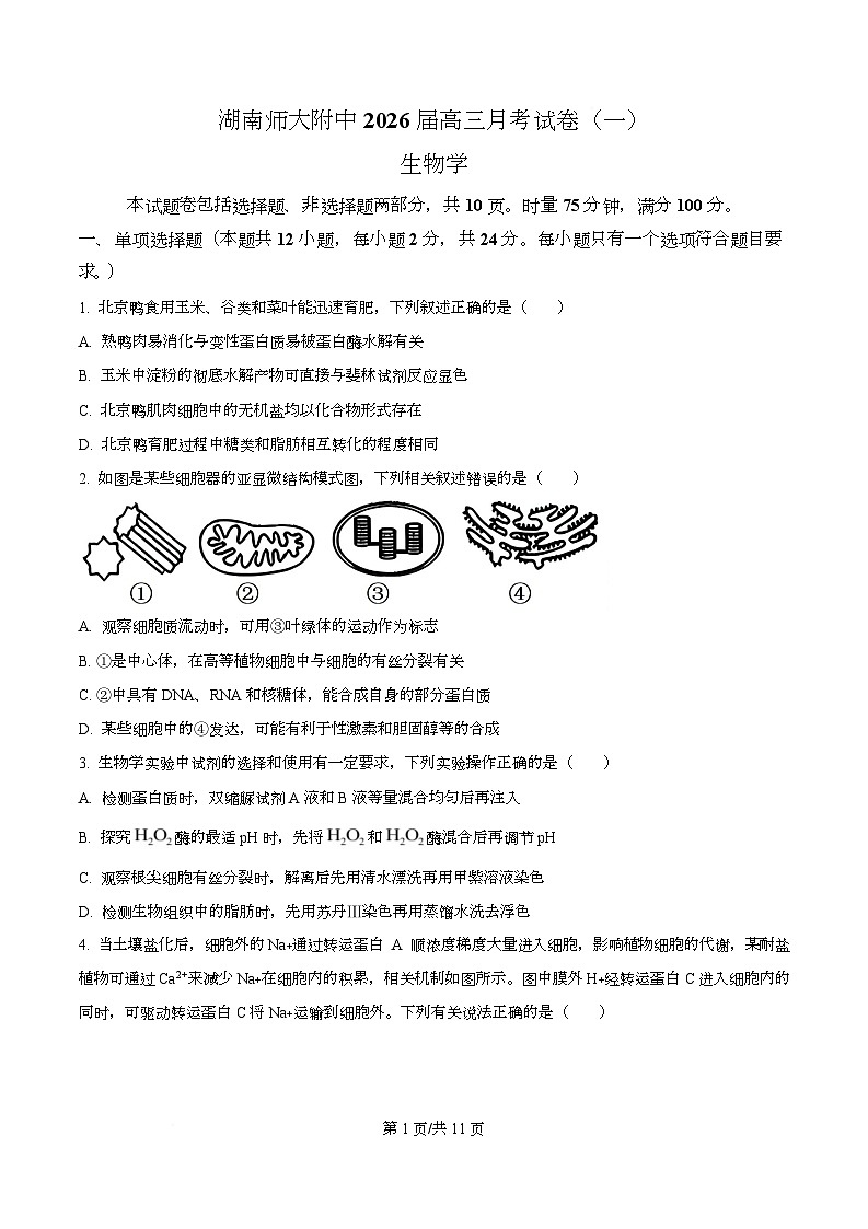 湖南省长沙市师大附中2026届高三上学期8月月考生物试题（原卷版）第1页