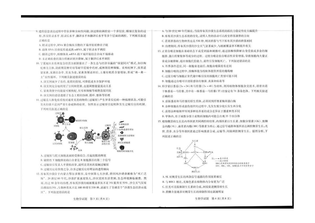 陕青晋宁2026届高三上学期第一次联考生物试题（PDF版附解析）第2页