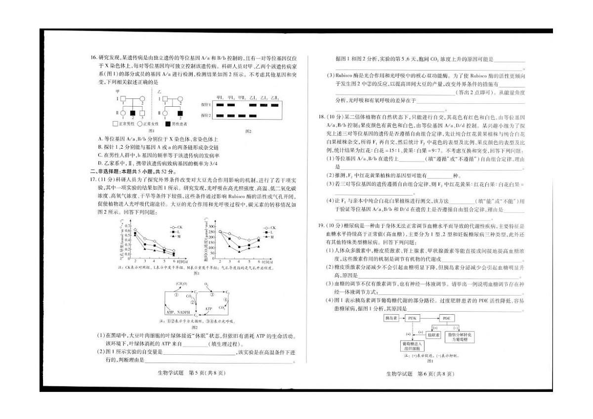 陕青晋宁2026届高三上学期第一次联考生物试题（PDF版附解析）第3页