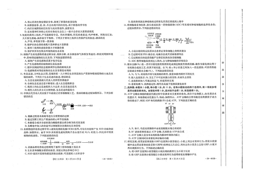 河南省新乡市2023-2024学年高二下学期7月期末生物试卷+答案第2页