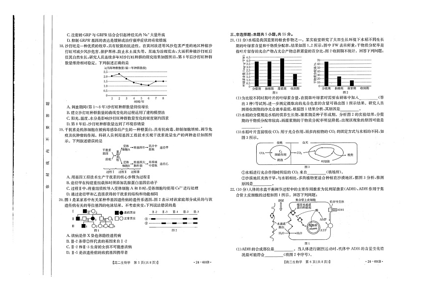 河南省新乡市2023-2024学年高二下学期7月期末生物试卷+答案第3页