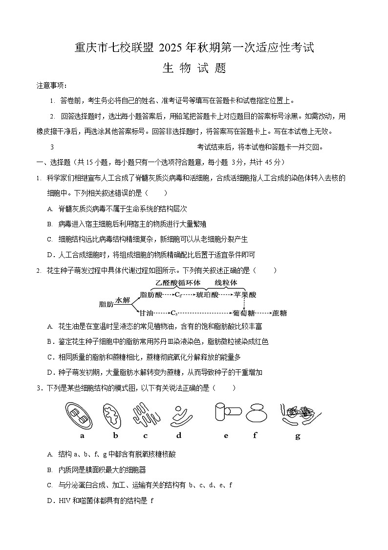重庆市七校联盟2026届高三上学期9月开学考试生物试卷第1页