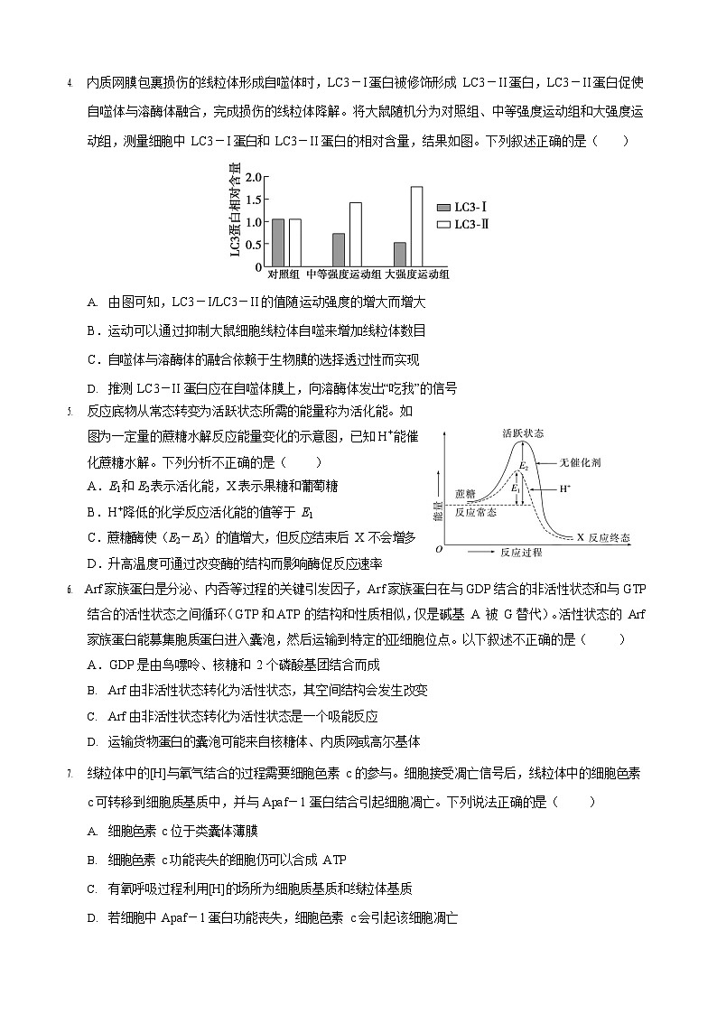 重庆市七校联盟2026届高三上学期9月开学考试生物试卷第2页