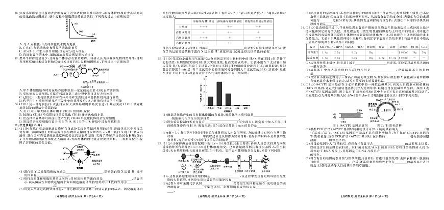 辽宁省点石联考2026届高三上学期9月份联合考生物试题+答案（B）第2页