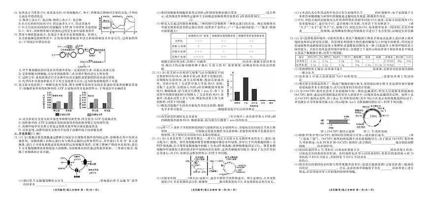 辽宁省点石联考2026届高三上学期9月份联合考生物试题+答案（A）第2页