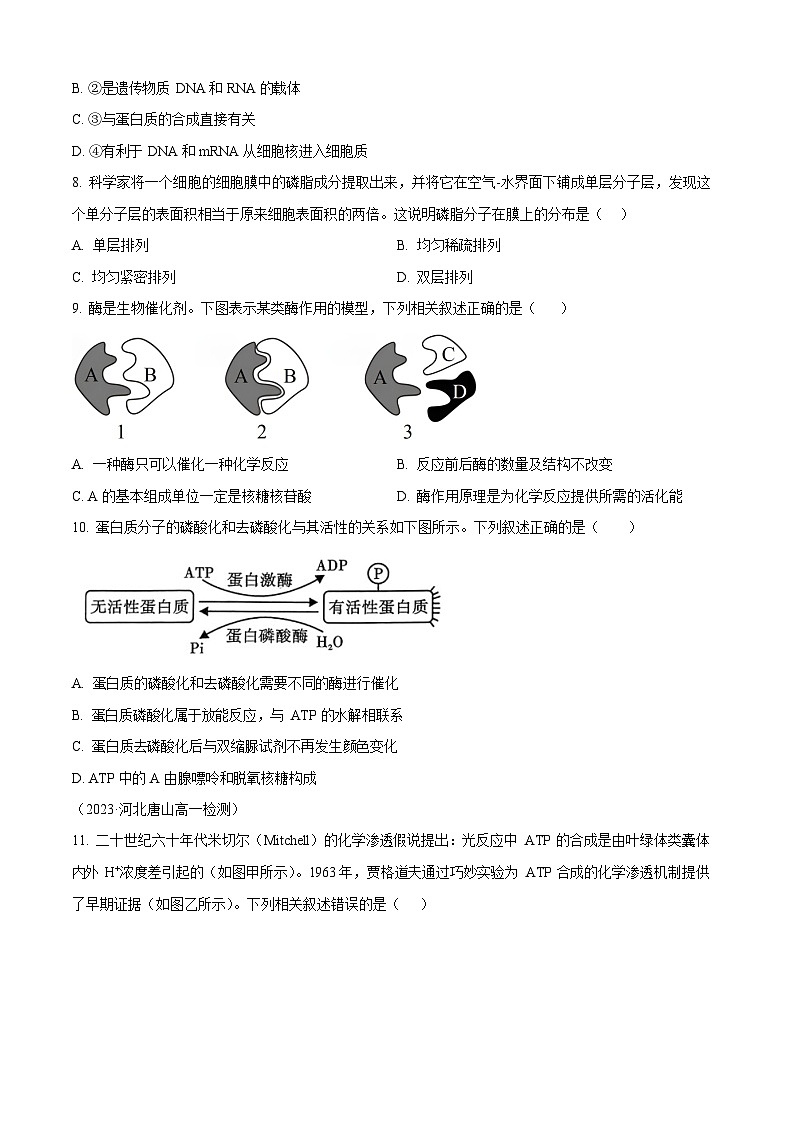 贵州省贵阳市第一中学2025-2026学年高一上学期开学分班考试生物试卷第3页