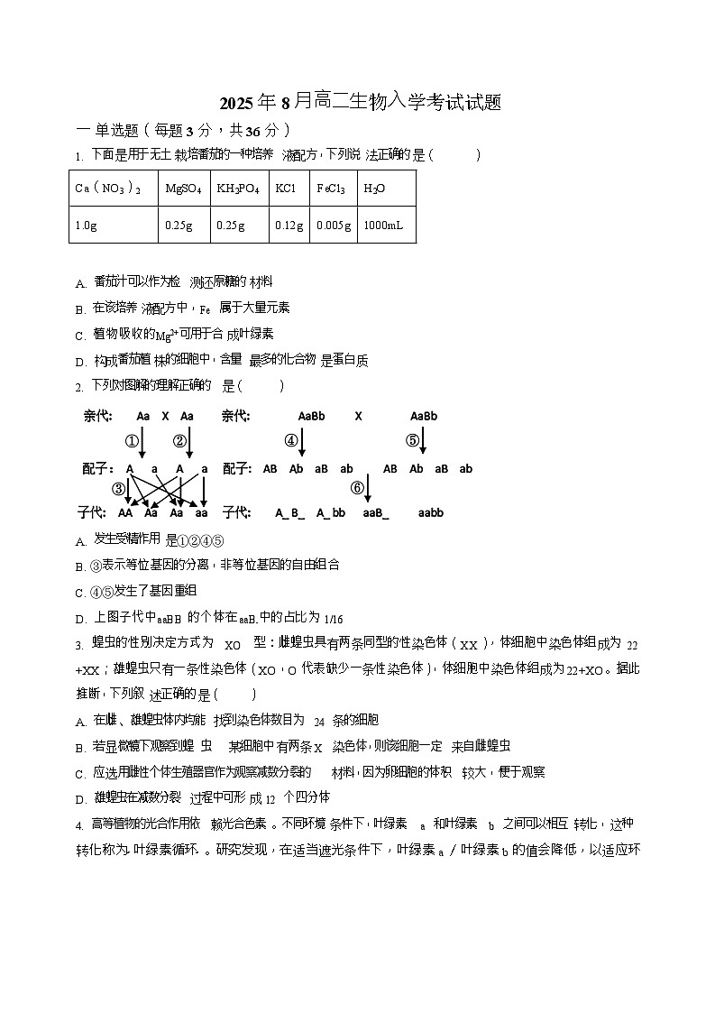 湖南省岳阳市汨罗市第二中学2025-2026学年高二上学期开学考试生物试卷第1页