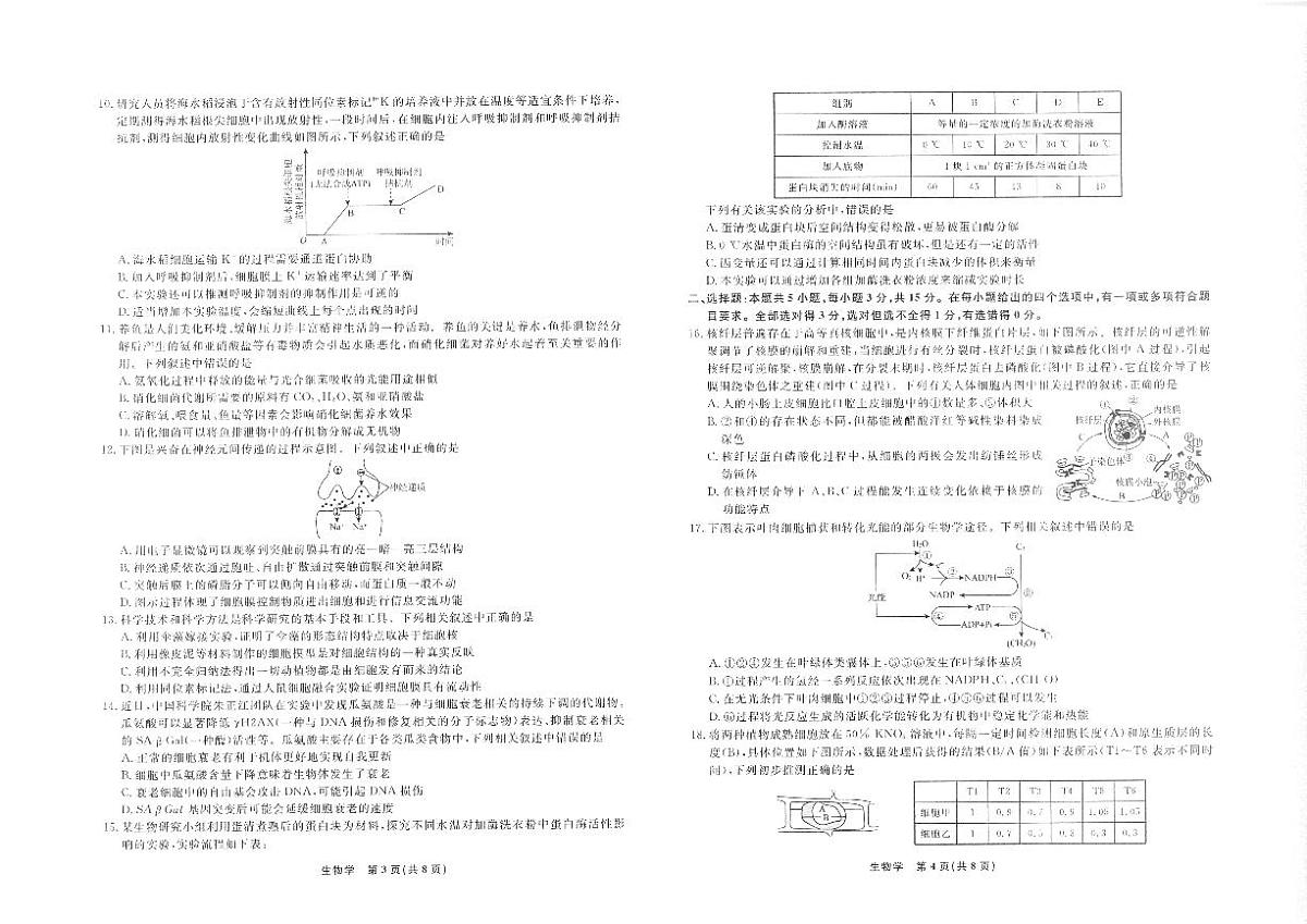 辽宁省名校联盟2025年高三9月份联合考试 生物第2页