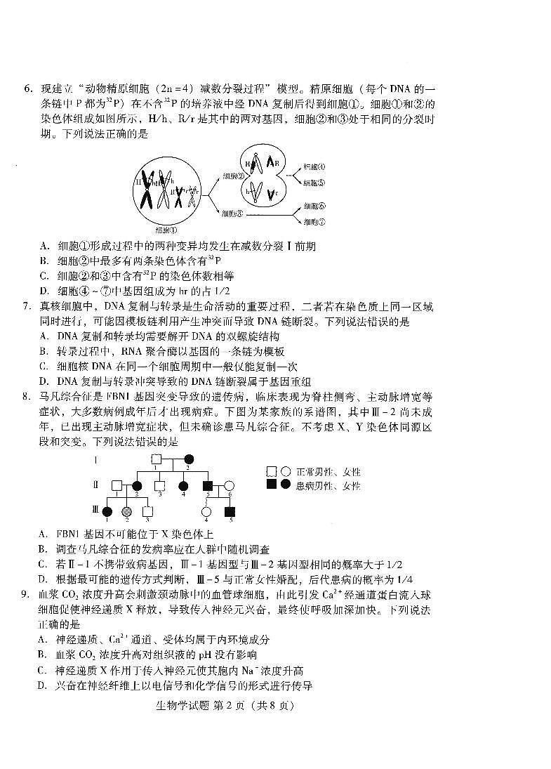 潍坊市2026届高三开学调研监测考试 生物第2页