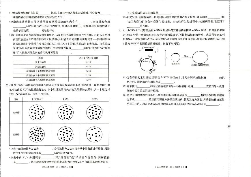 生物-陕西金太阳2025年9月高三联考（15C）试题第3页