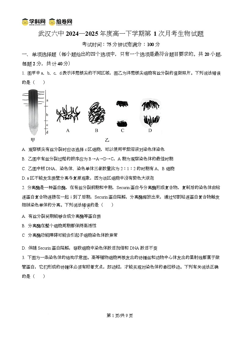 湖北省武汉市第六中学2024-2025学年高一下学期3月月考生物试卷第1页