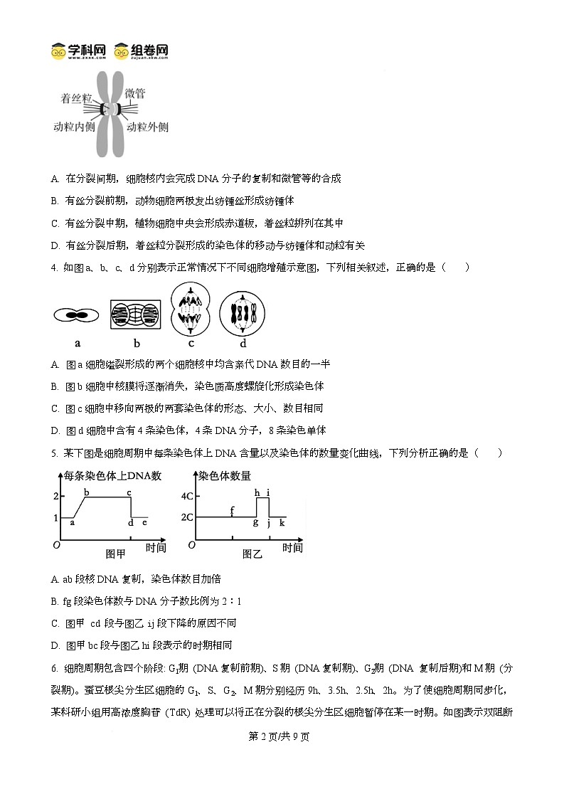 湖北省武汉市第六中学2024-2025学年高一下学期3月月考生物试卷第2页