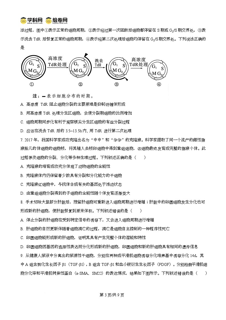 湖北省武汉市第六中学2024-2025学年高一下学期3月月考生物试卷第3页