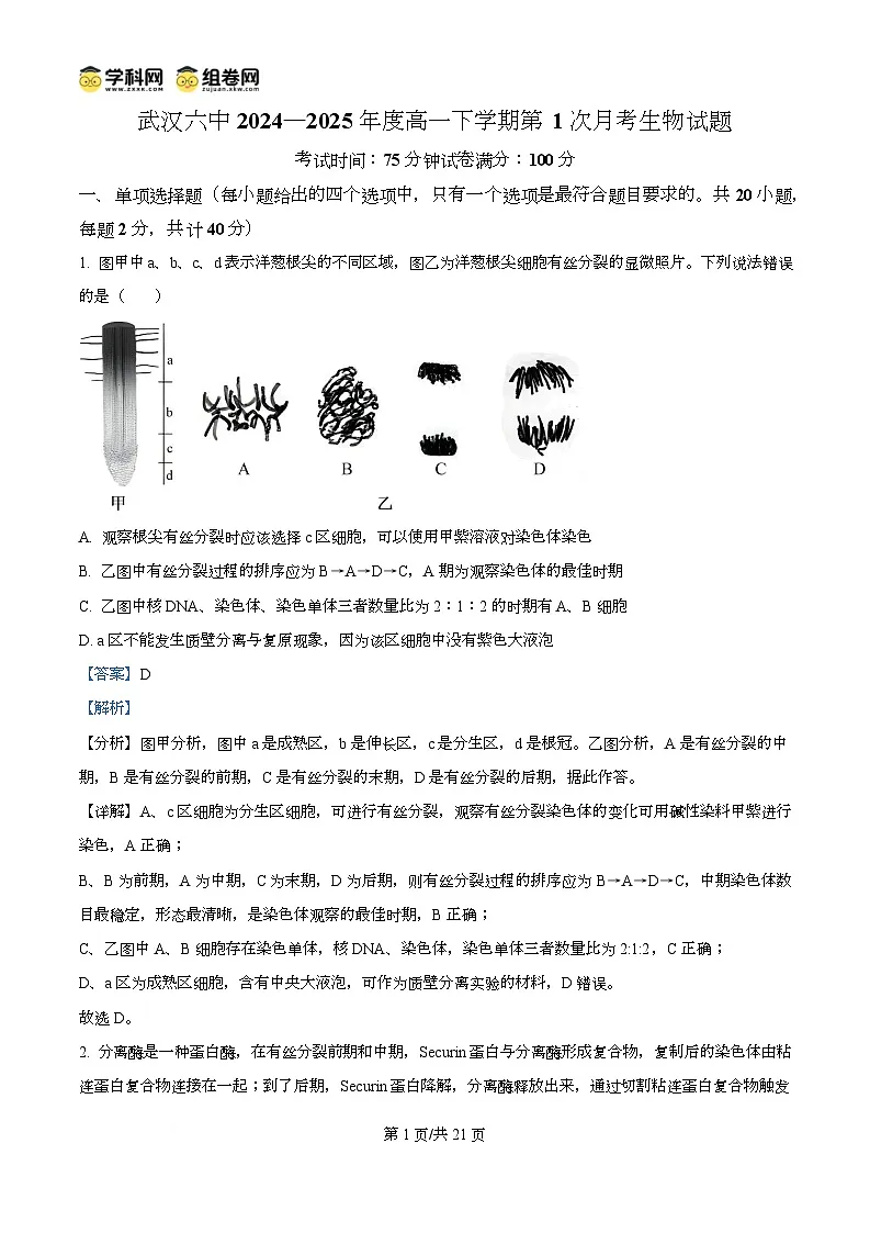 湖北省武汉市第六中学2024-2025学年高一下学期3月月考生物试卷+解析第1页