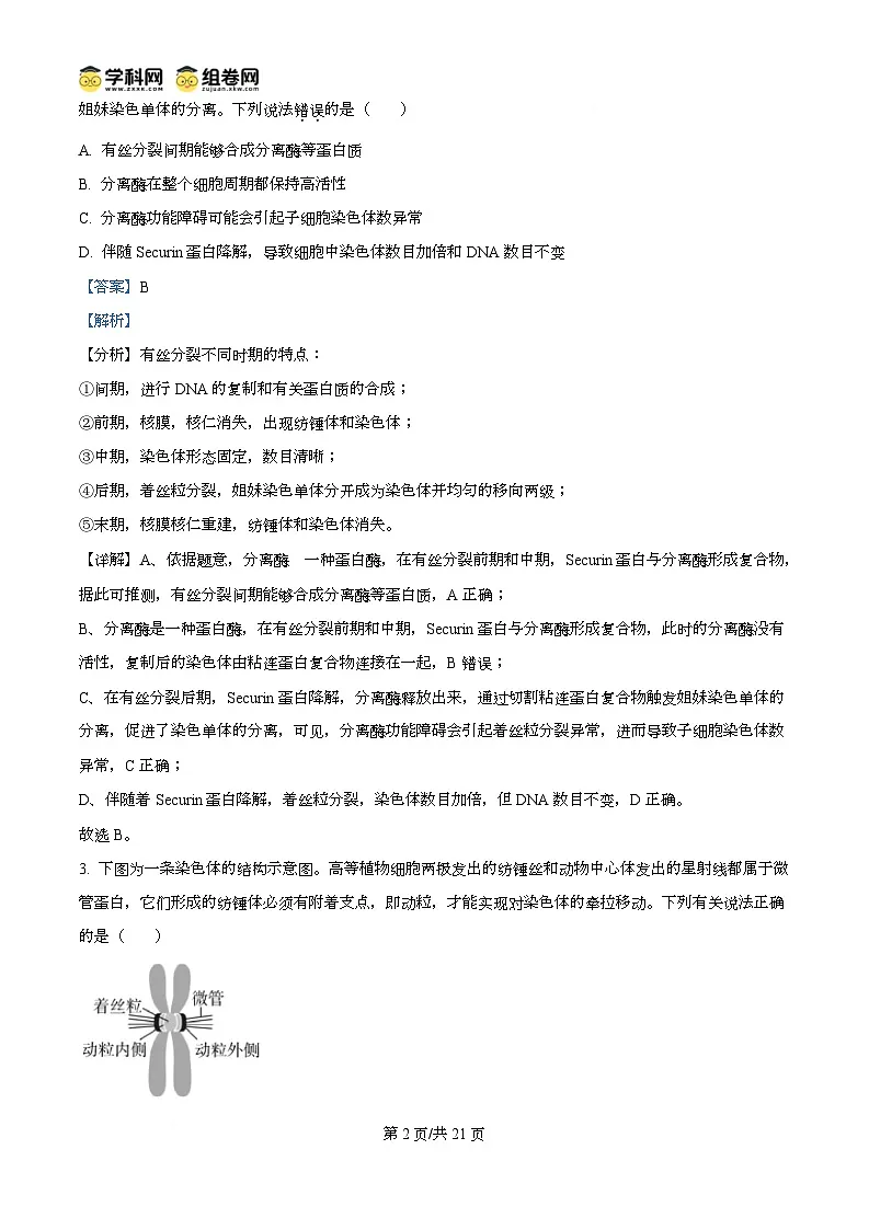 湖北省武汉市第六中学2024-2025学年高一下学期3月月考生物试卷+解析第2页