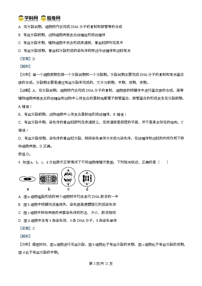 湖北省武汉市第六中学2024-2025学年高一下学期3月月考生物试卷+解析第3页
