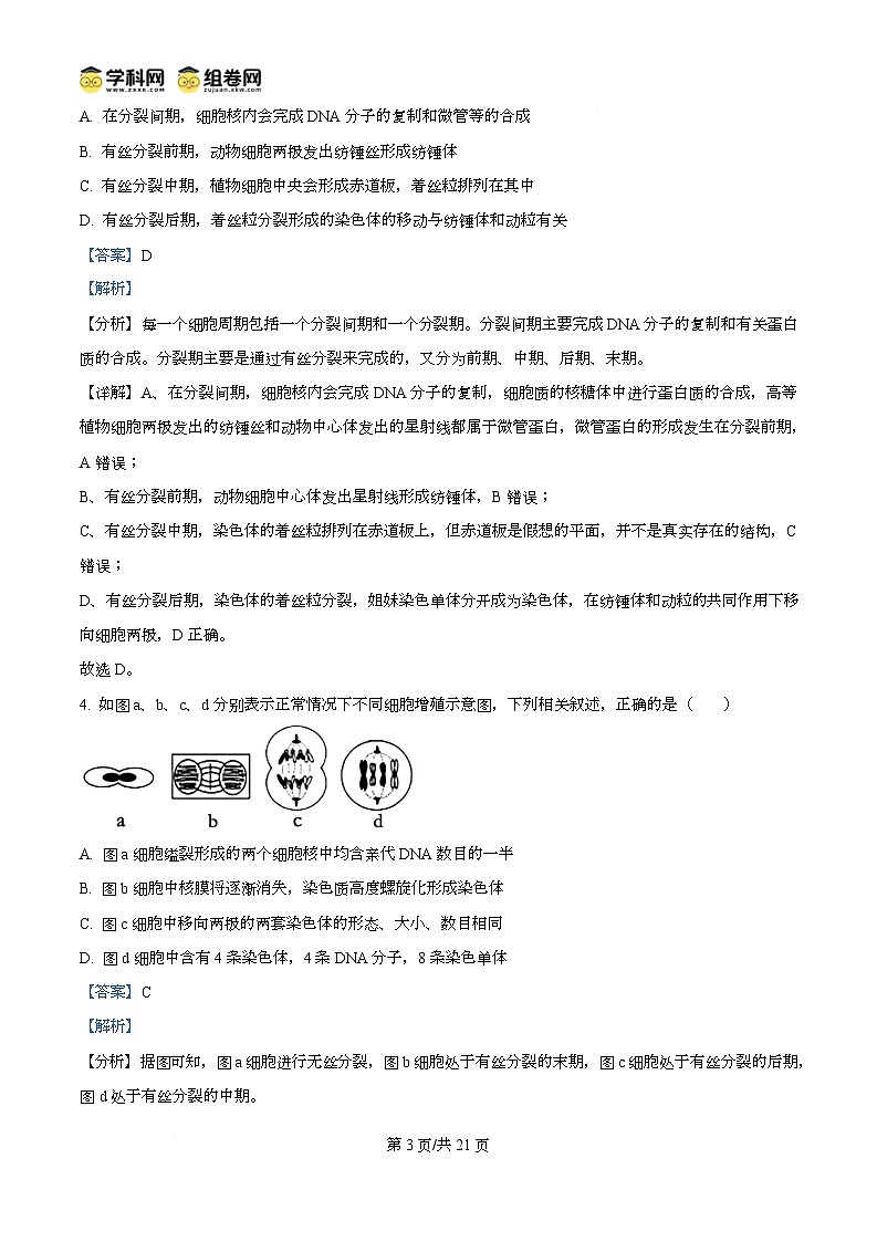 湖北省武汉市第六中学2024-2025学年高一下学期3月月考生物试卷+解析第3页