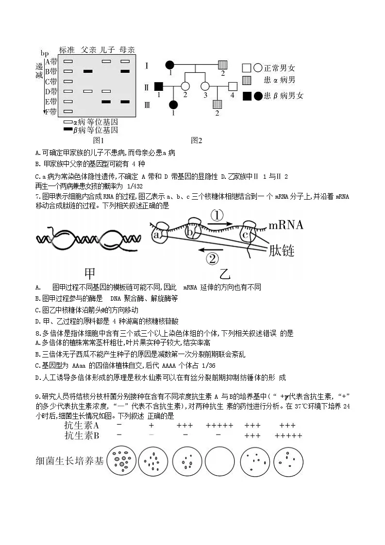 湖南省长沙市第一中学2024-2025学年高一下学期期末考试生物试卷（含解析）第3页
