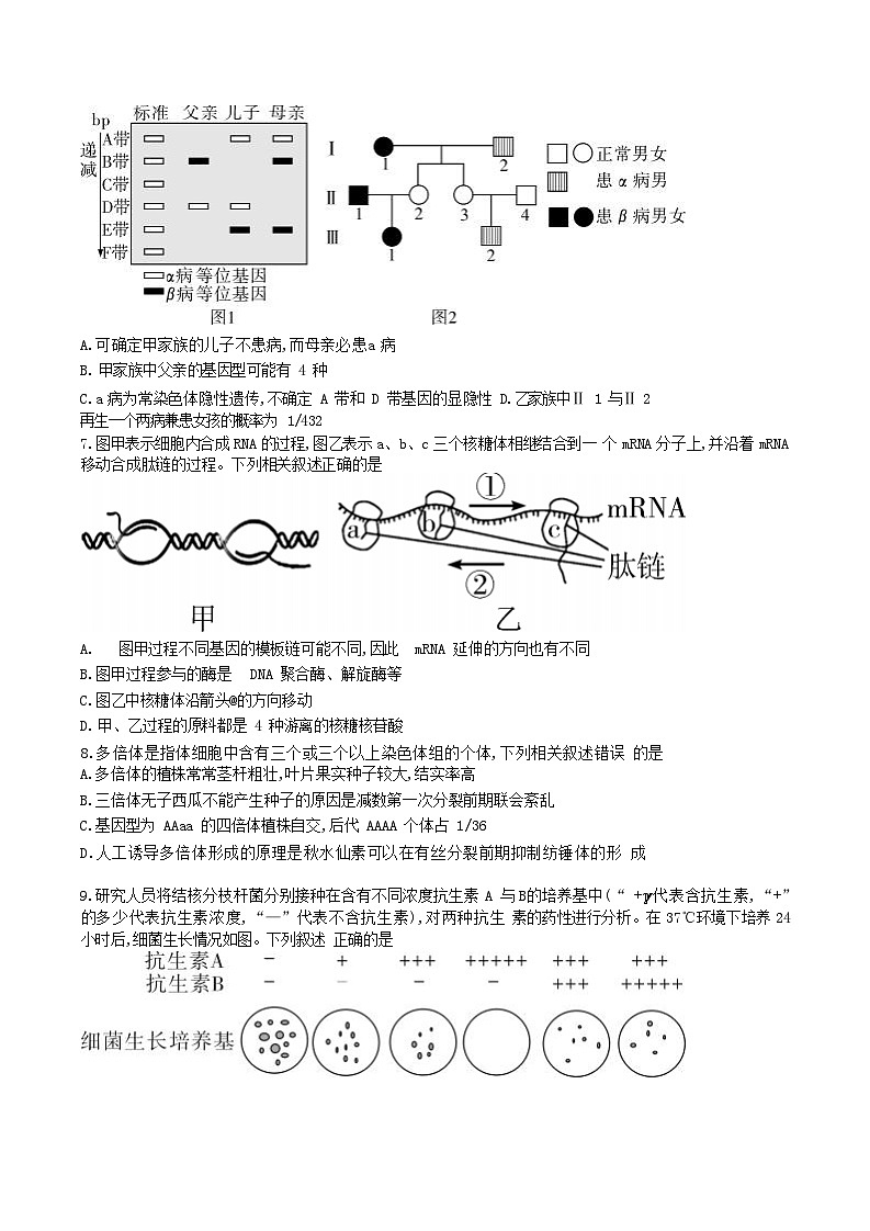 湖南省长沙市第一中学2024-2025学年高一下学期期末考试生物试卷（含解析）第3页
