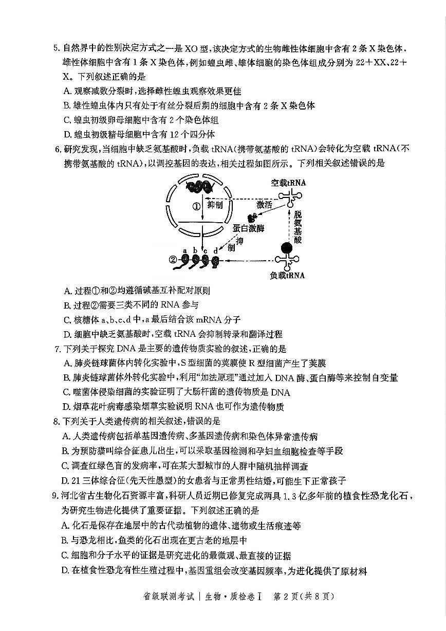 河北省省级联考2025届高三上学期1月期末考试生物试卷+答案第2页