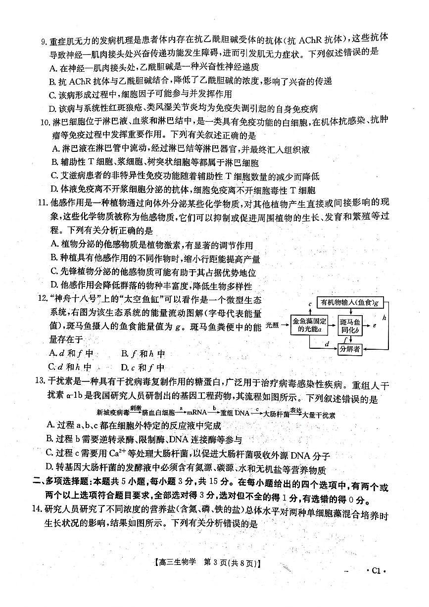 河北省邢台市金太阳2025届高三上学期12月第二次联考生物试卷+答案第3页