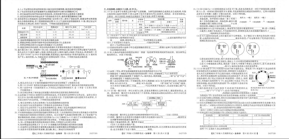 河南省新高中创新联盟TOP二十名校2023-2024学年高二下学期6月调研考试生物试卷+答案第2页