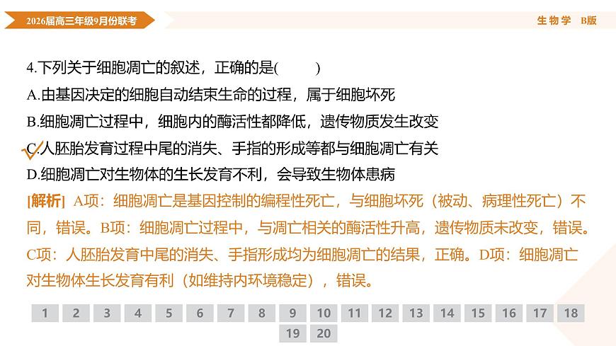 高三生物B版PPT课件（2026届高三年级9月份联考）第8页