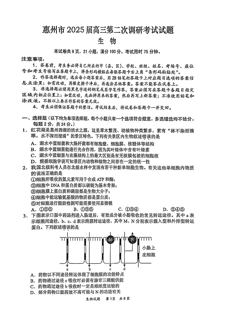 2025届广东省惠州市高三下学期第二次调研-生物试题（含答案）第1页