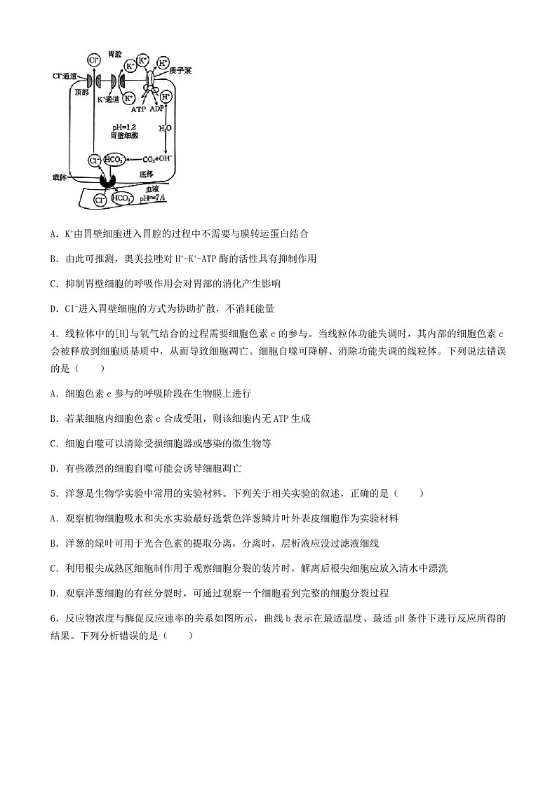 2025届河北金太阳高三下学期10月联考-生物试题（含答案）第2页
