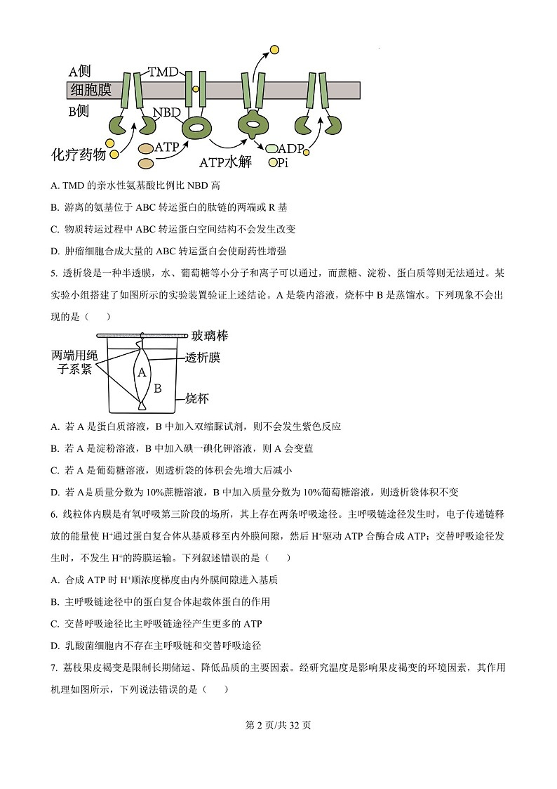 2025届黑龙江省绥化市绥棱一中高三下学期10月考-生物试题（含答案）第2页