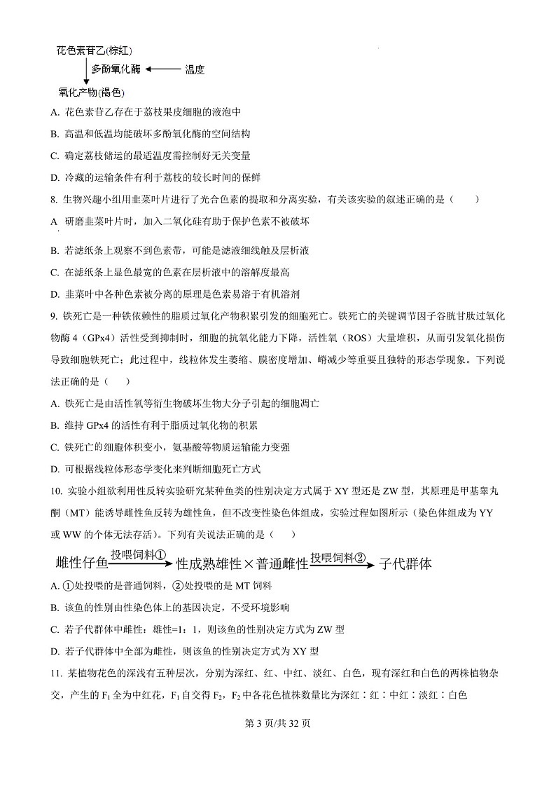 2025届黑龙江省绥化市绥棱一中高三下学期10月考-生物试题（含答案）第3页