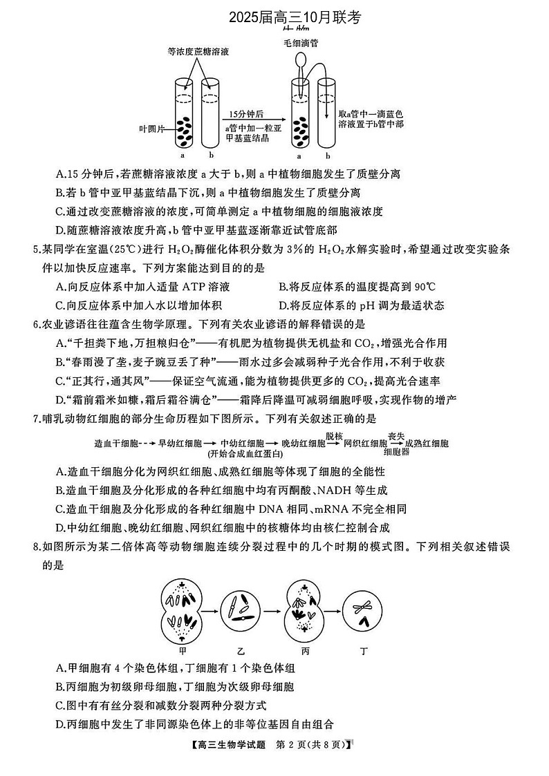 2025届湖南省天壹名校联盟高三下学期10月联考-生物试题（含答案）第1页