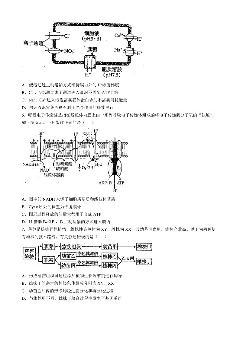 2025届天津市南开中学高三下学期10月月考-生物试题（含答案）第2页