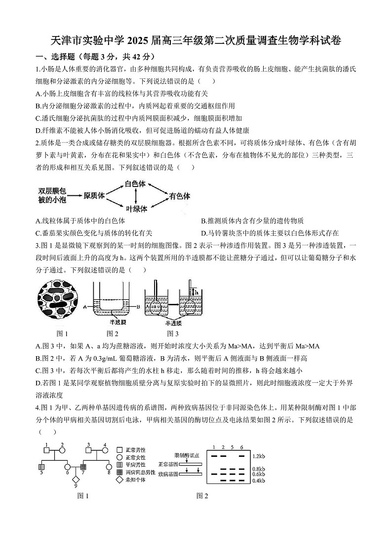 2025届天津市实验中学高三下学期10月第二次月考-生物试题（含答案）第1页