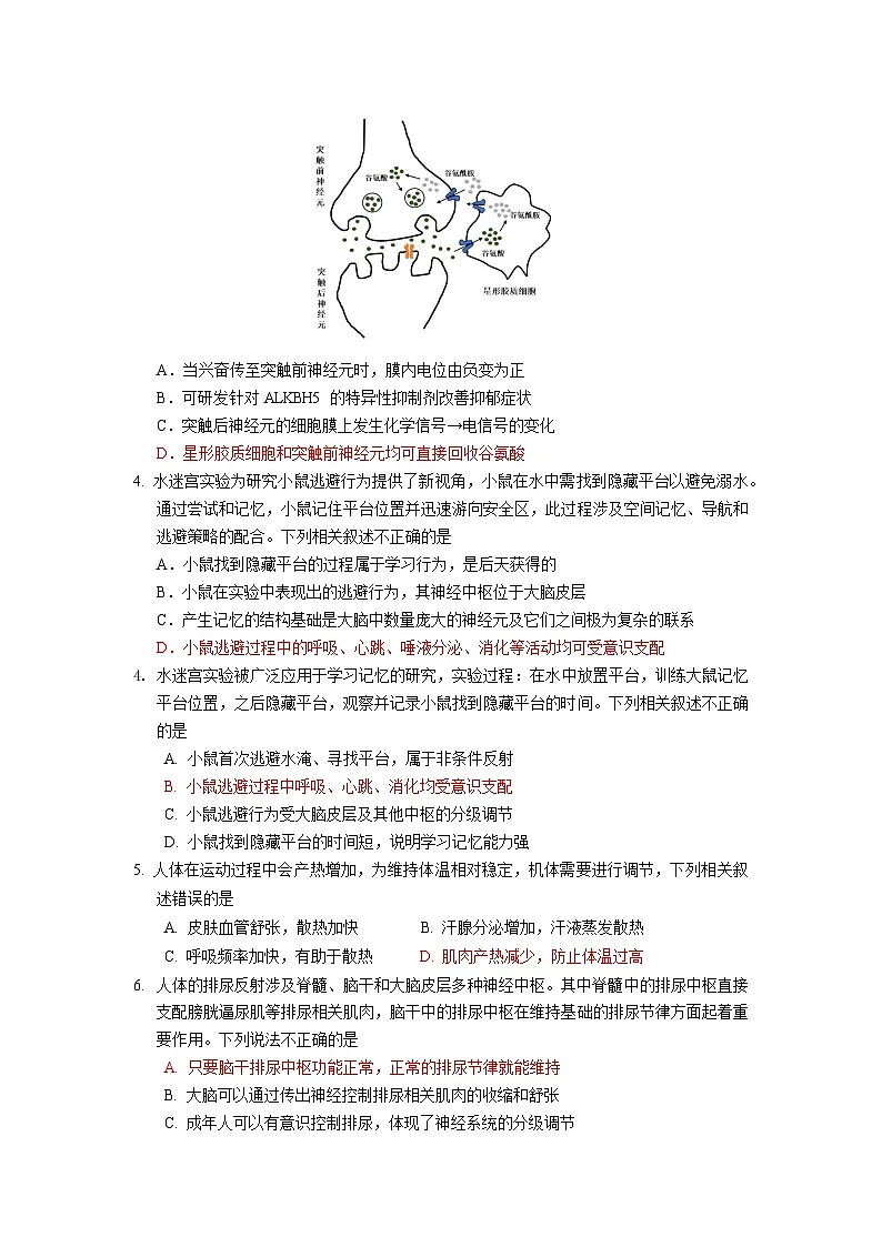 北京市朝阳区2024-2025学年高二上学期期末考试生物试卷第2页