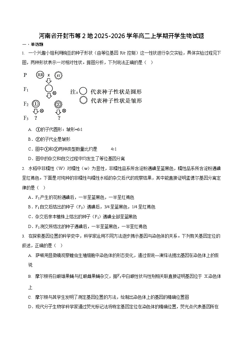 河南省开封市等2地2025-2026学年高二上学期开学考试生物试卷第1页