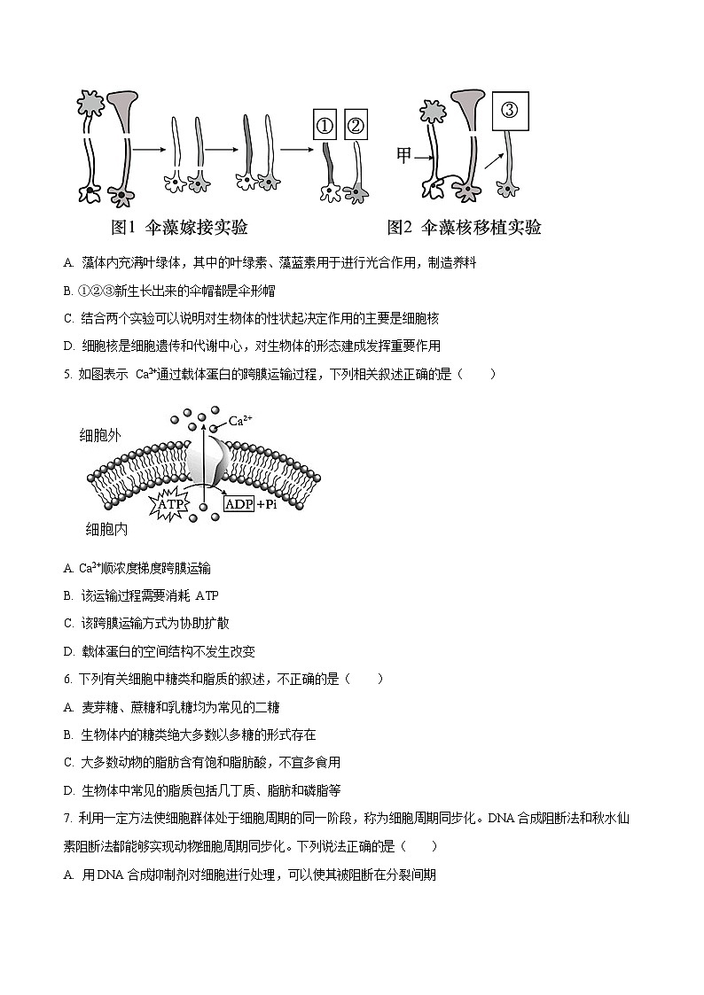 河南省信阳高级中学新校2025-2026学年高二上期开学测试生物试卷第2页
